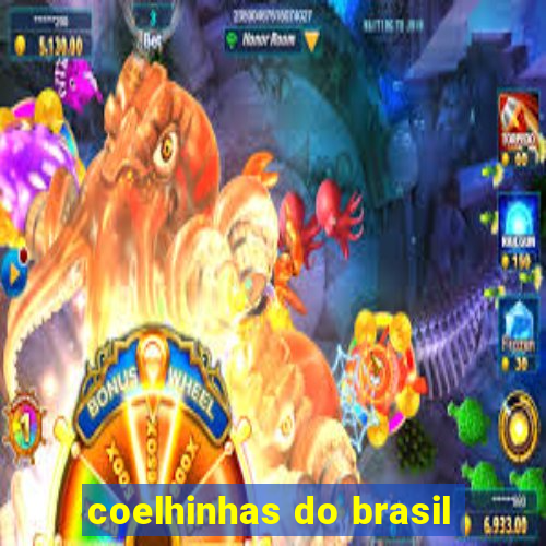 coelhinhas do brasil